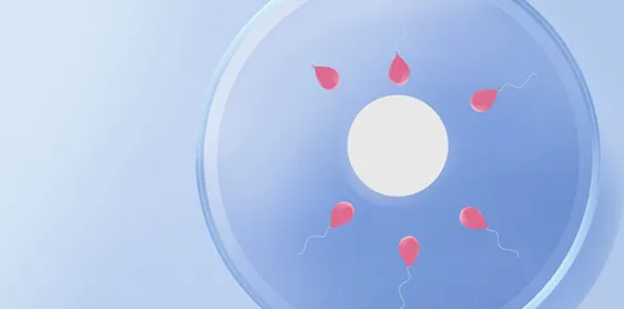 Stylized graphic of an egg and sperm