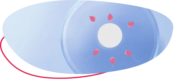 Stylized graphic of an egg and sperm